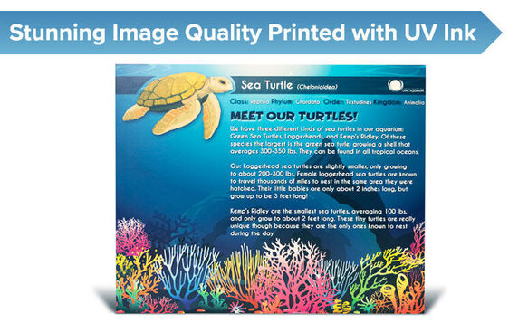 Plastic Sign Exhibit with Vibrant Colors